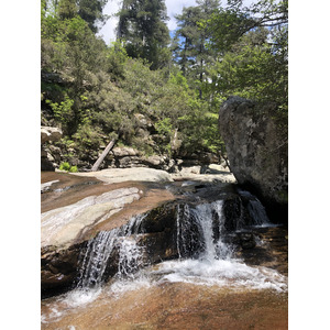 Photo France Corse Forêt d'Aïtone 2021-06 36