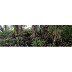 Photo Costa Rica Cahuita 2015-03 25