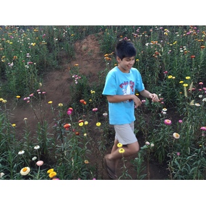Photo Thaïlande Parc National Phu Hin Rong Kla 2014-12 102