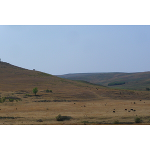 Photo Afrique du Sud route de Nelspruit à Johannesburg 2008-09 103