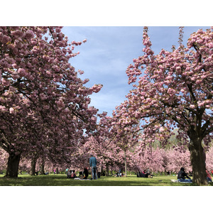 Photo France Parc de Sceaux 2019-04 57