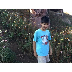 Photo Thaïlande Parc National Phu Hin Rong Kla 2014-12 78