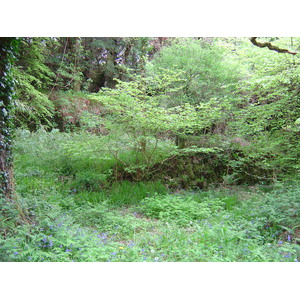 Photo Irlande Kerry Parc National de Killarney Muckross Lake 2004-05 23