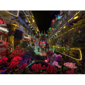 Photo Chine Lijiang 2026-01 276