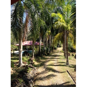 Photo Costa Rica Uvita 2015-03 79