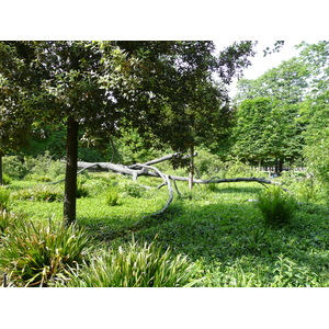 Photo France Paris Jardin des Tuileries 2007-05 204