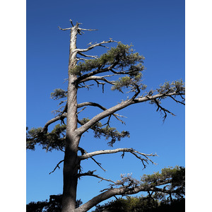 Photo France Corse Monte Cinto 2023-10 151