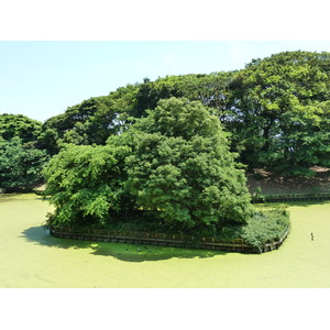 Photo Japon Tokyo Jardins Hama rikyu 2010-06 67