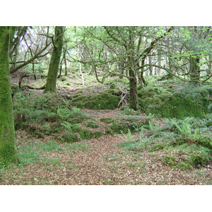 Photo Irlande Kerry Parc National de Killarney Muckross Lake 2004-05 12