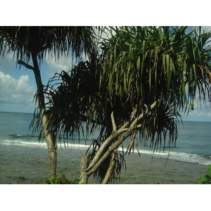 Photo Polynésie Tahiti 2006-04 13