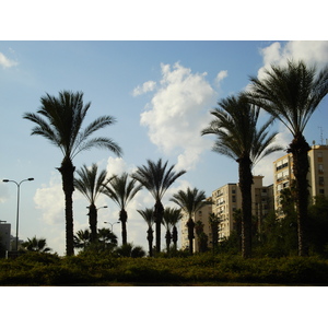 Photo Israel Tel Aviv 2006-12 85