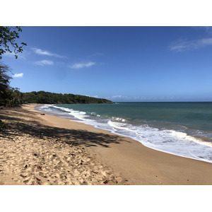 Photo Guadeloupe Sainte Rose 2021-02 0