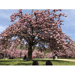 Photo France Parc de Sceaux 2019-04 87