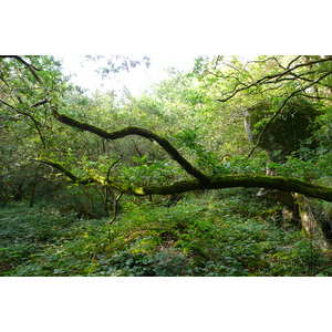 Photo France Huelgoat 2007-08 26