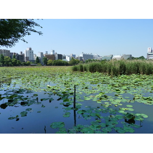 Photo Japon Tokyo Ueno 2010-06 69