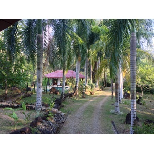 Photo Costa Rica Uvita 2015-03 52