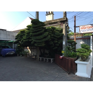 Photo Thaïlande Chiang Mai 2014-12 12