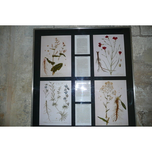 Photo France Tarascon Château du Roi René 2008-04 25