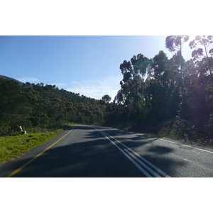 Photo Afrique du Sud Route de Harmanus à Knysna 2008-09 149