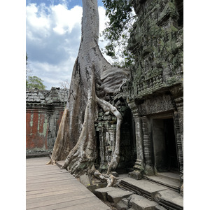 Photo Cambodge Siem Reap Ta Prohm 2023-01 144