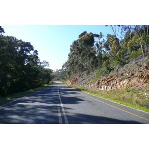 Photo Afrique du Sud Route de Harmanus à Knysna 2008-09 141