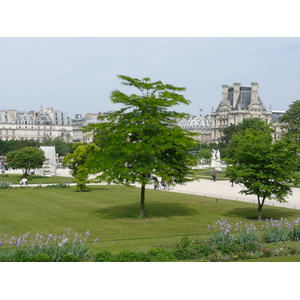Photo France Paris Jardin des Tuileries 2007-05 302