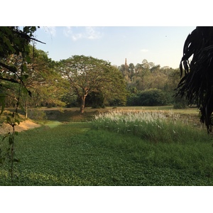 Photo Thaïlande Parc Si satchanalai 2014-12 134