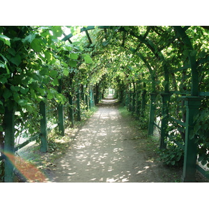 Photo Russie Petrodvorets 2006-07 16