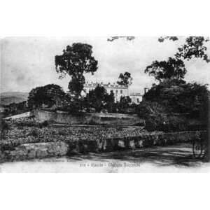 Photo France Corse Cartes postales anciennes 1900-01 347