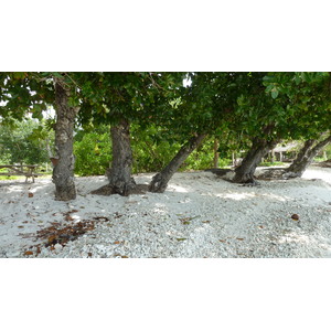 Photo Seychelles Grande Soeur 2011-10 53