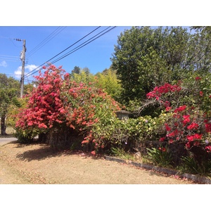 Photo Panama Boquete 2015-03 50