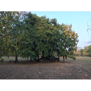 Photo Thaïlande Parc Si satchanalai 2014-12 78