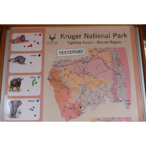Photo Afrique du Sud Parc National Kruger 2008-09 27