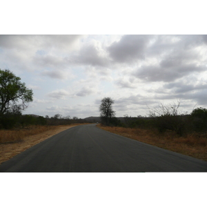 Photo Afrique du Sud Parc National Kruger 2008-09 97