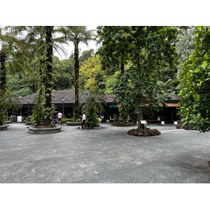 Photo Singapour Jardins botaniques de Singapore 2023-01 119