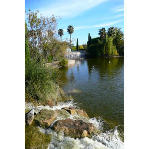 Photo France Nice Parc Phoenix 2007-10 85