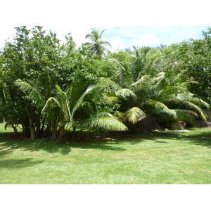 Photo Seychelles Grande Soeur 2011-10 110