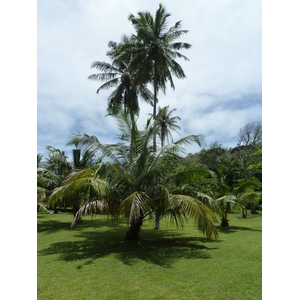Photo Seychelles Grande Soeur 2011-10 96
