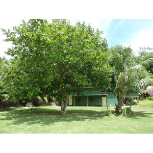 Photo Seychelles Grande Soeur 2011-10 81