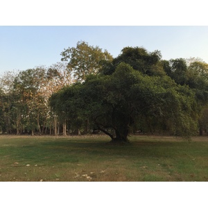 Photo Thaïlande Parc Si satchanalai 2014-12 56