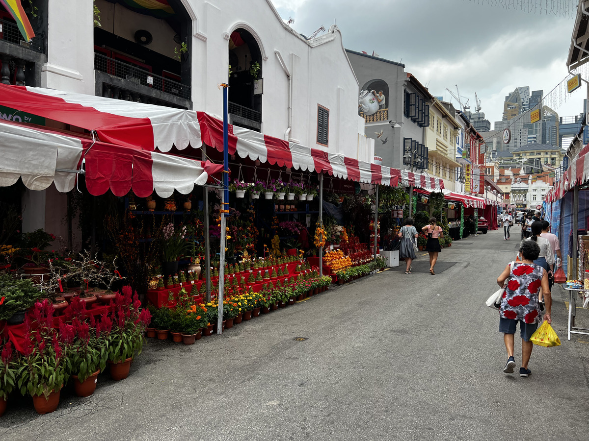 Photo Singapour China Town 2023-01 47