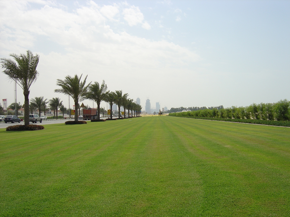 Photo Émirats arabes unis Dubai Plage de Jumeira 2005-03 5