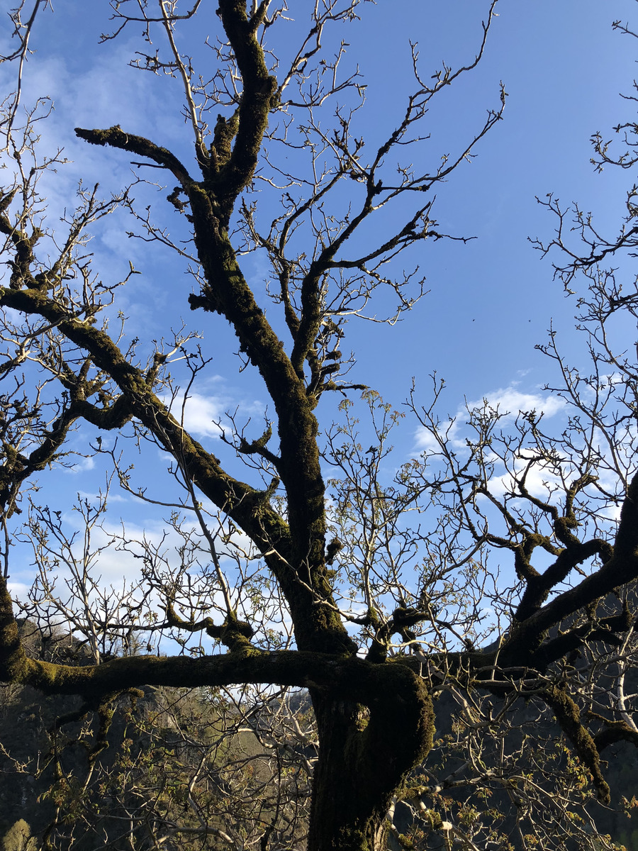 Photo France Conques 2018-04 85