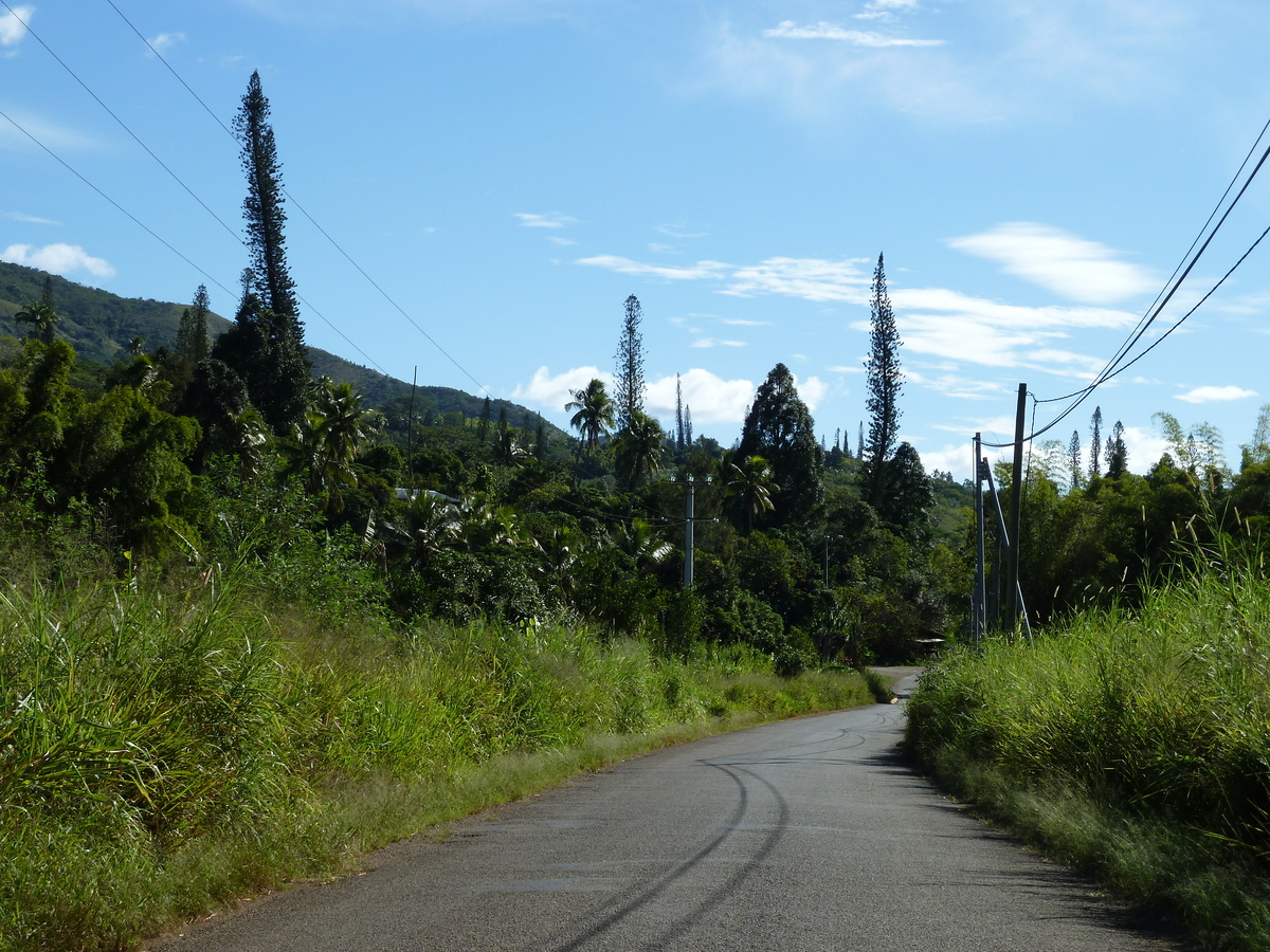Photo Nouvelle-Calédonie route de Thio à Canala 2010-05 71