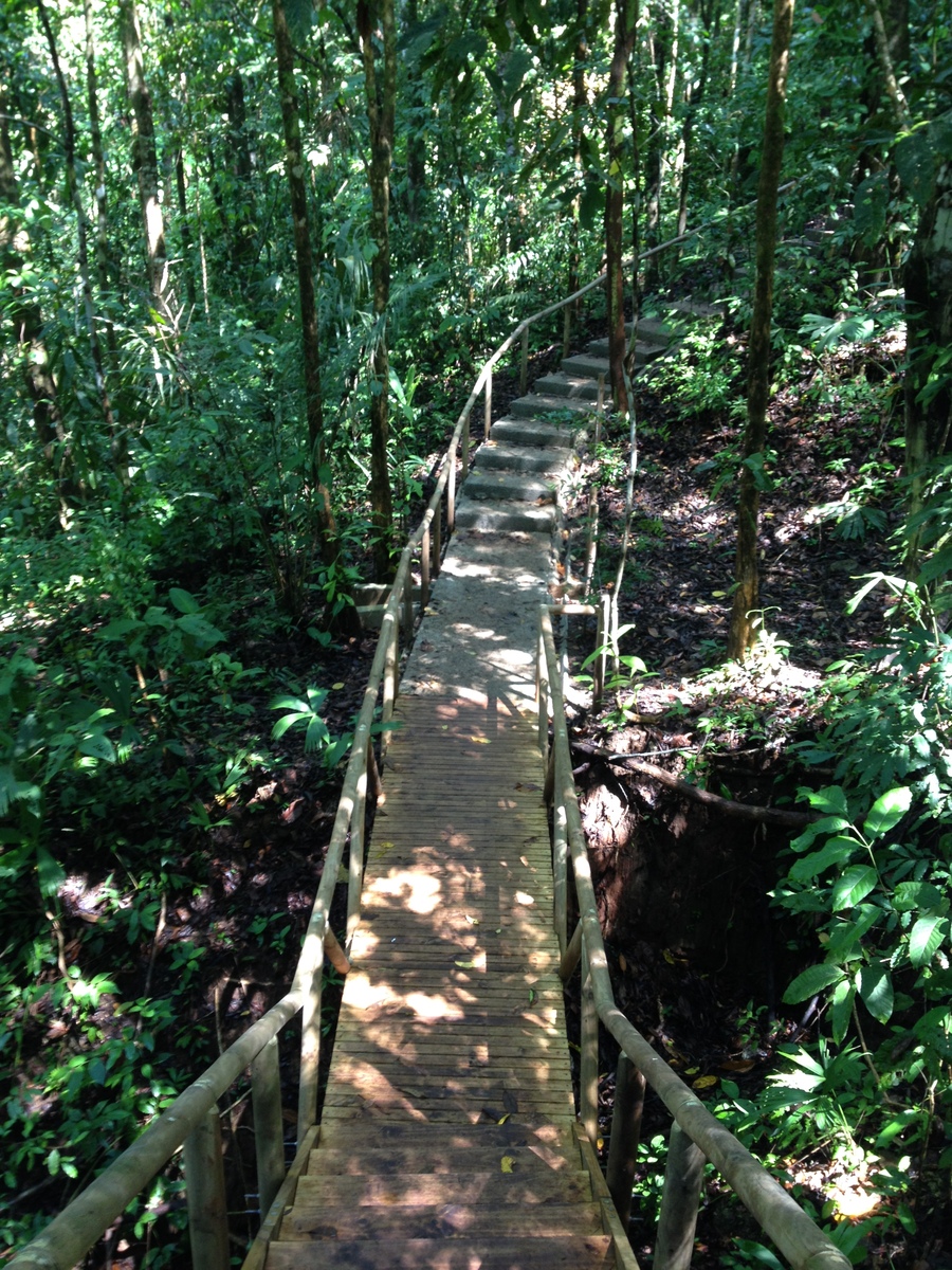 Photo Costa Rica Parc Manuel Antonio 2015-03 139