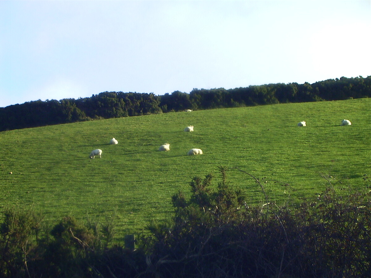 Photo Irlande 2000-11 5
