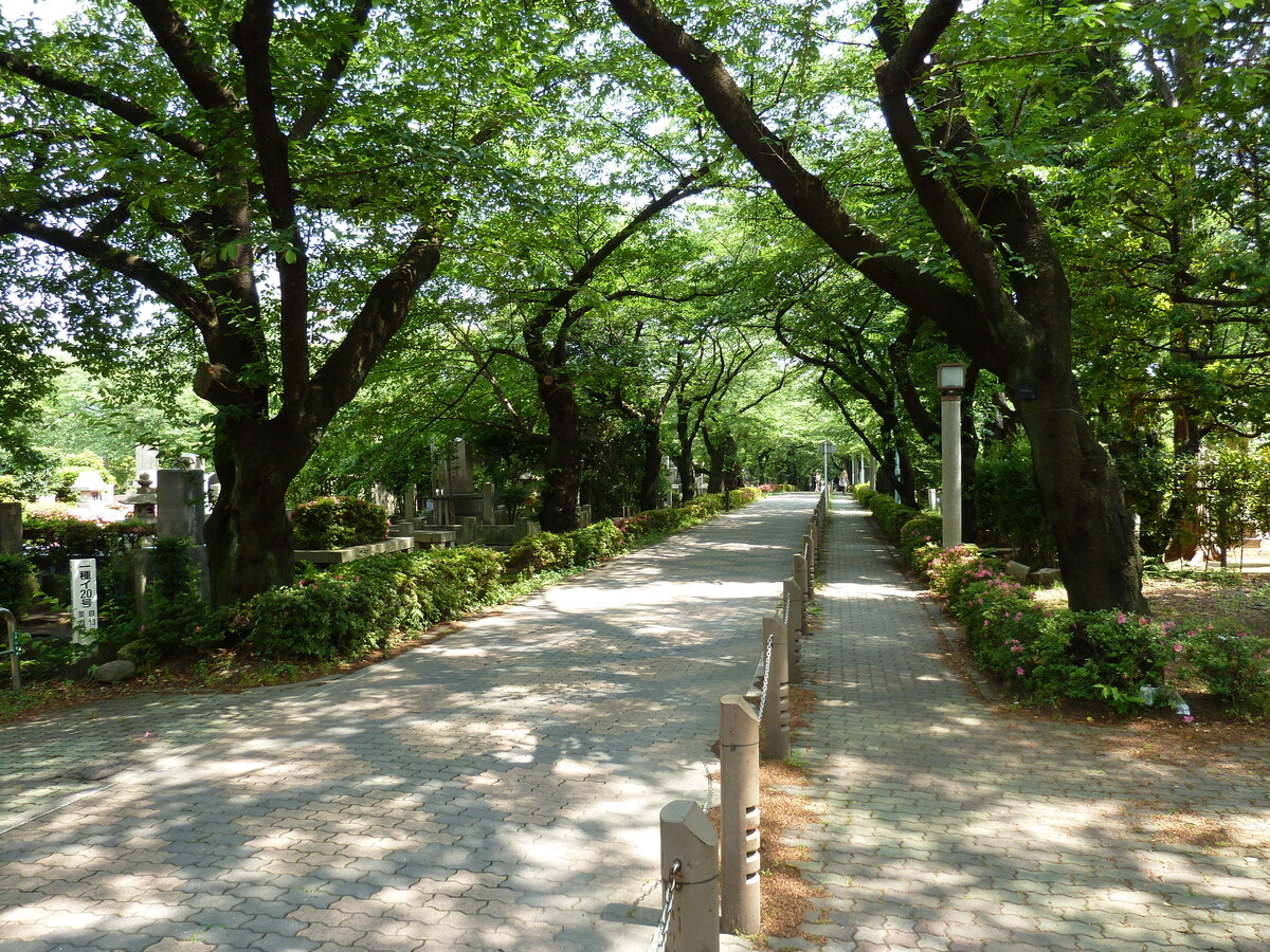 Photo Japon Tokyo Omotesando 2010-06 54