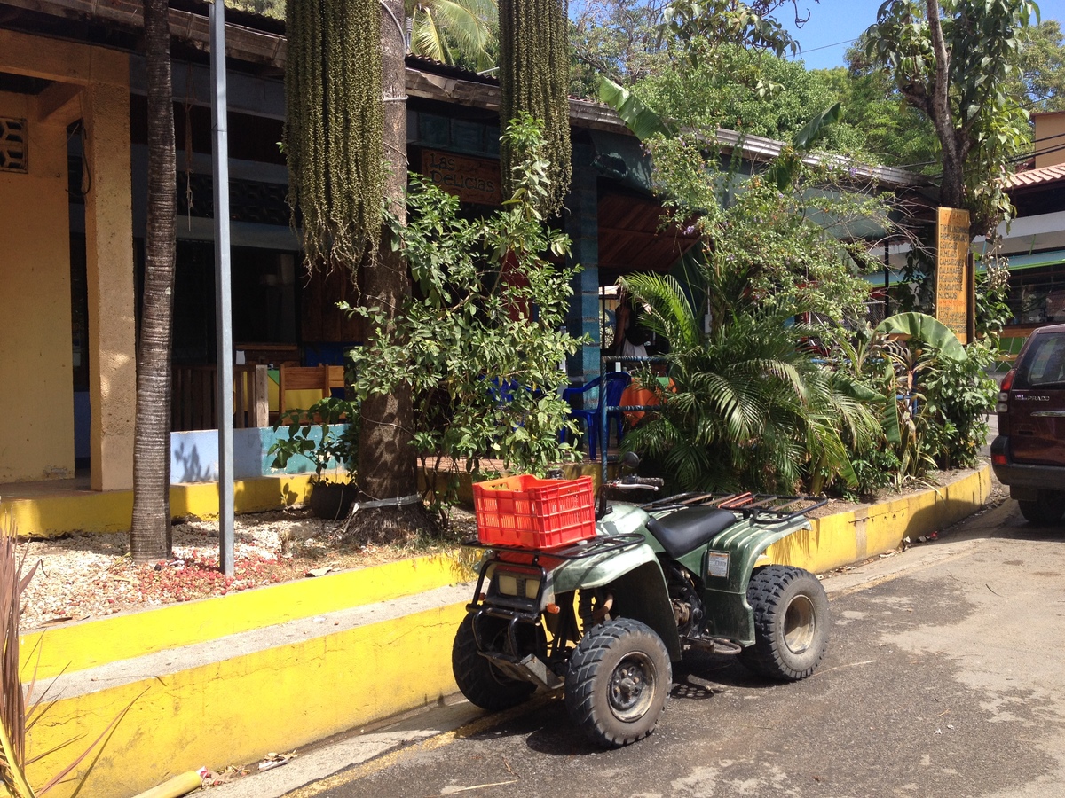 Photo Costa Rica Montezuma 2015-03 224