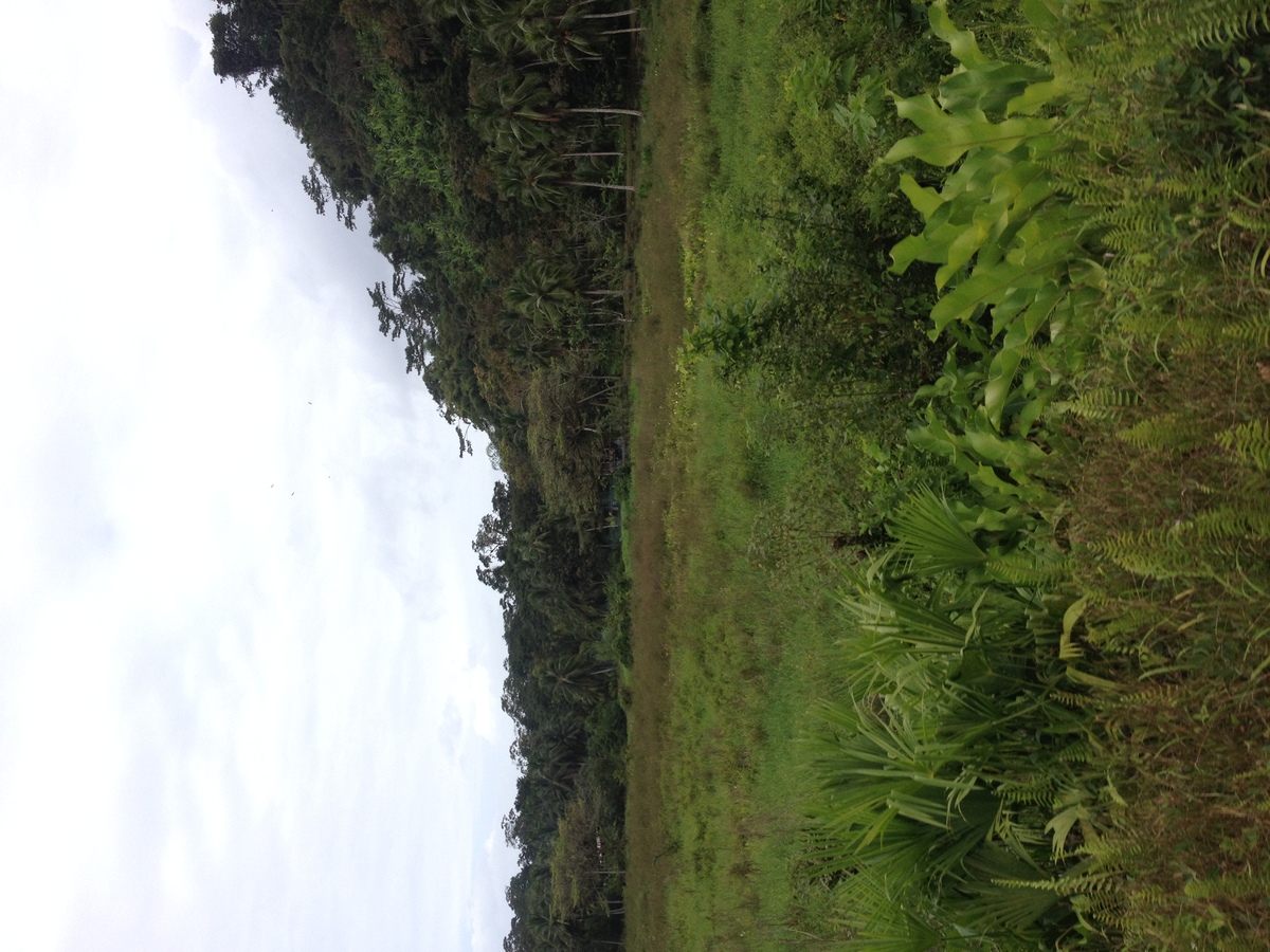 Photo Panama David à Bocas del toro 2015-03 96