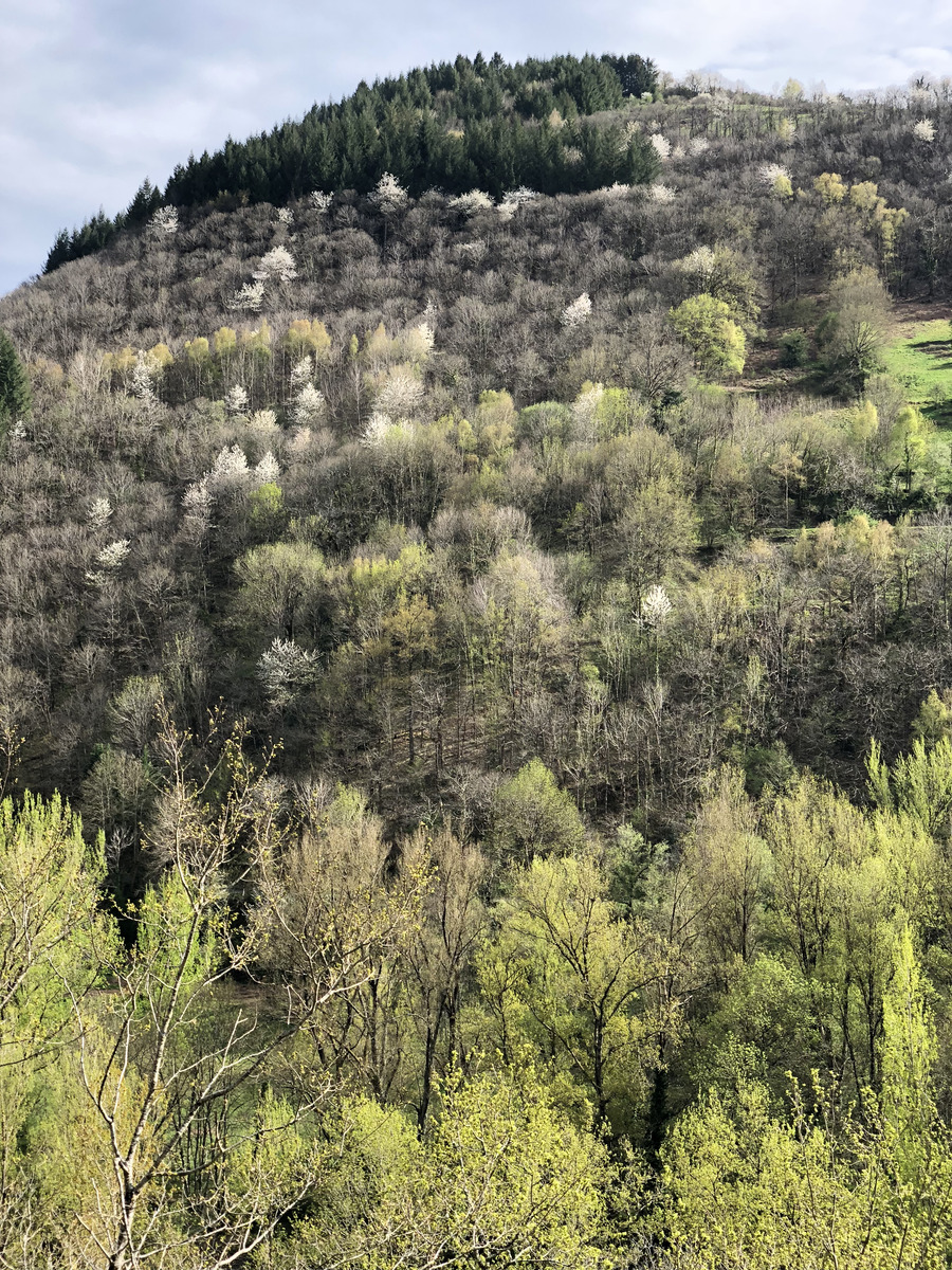 Photo France Conques 2018-04 111